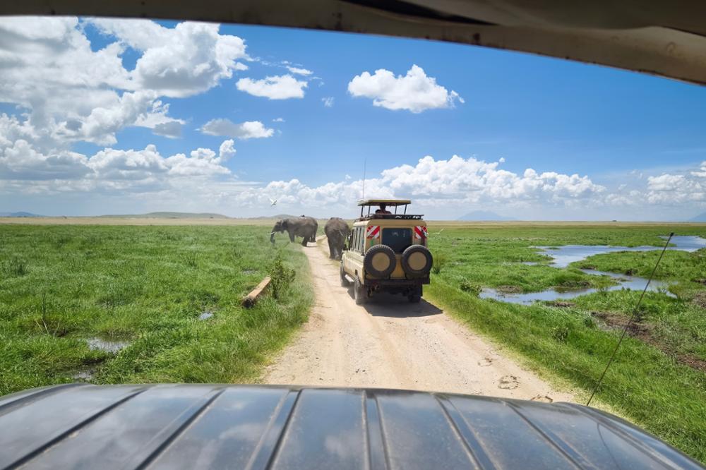 Combien coûte un safari au Kenya ?