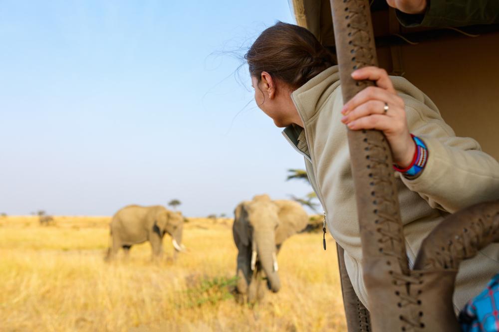 Tanzanie ou Kenya, quel pays choisir pour un safari ?