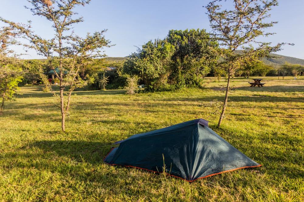 Safari dans la réserve nationale du Masai Mara : notre guide complet