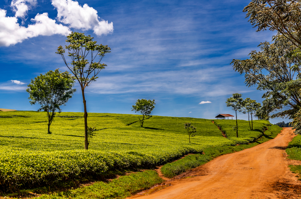 Géographie et paysages du Kenya