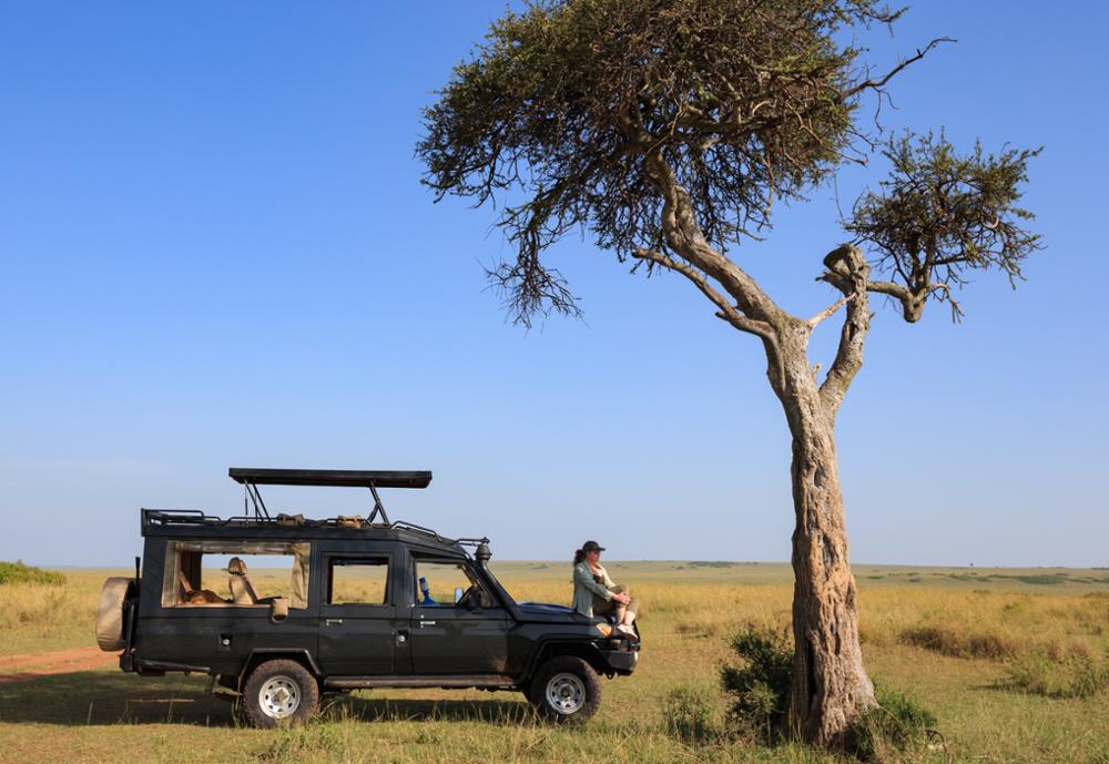 Safari dans la réserve nationale du Masai Mara : notre guide complet