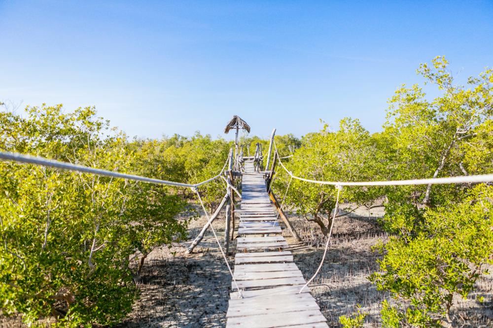 Que faire à Watamu ?