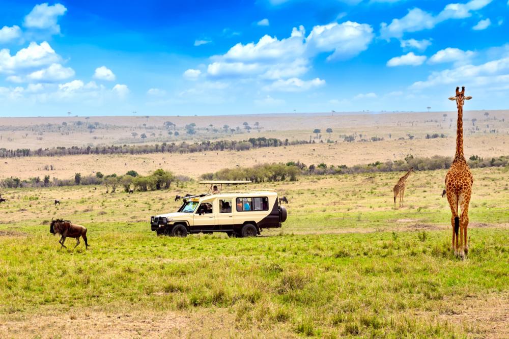 Survol du Masai Mara en montgolfière