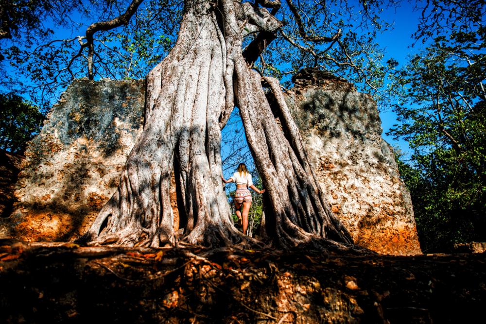 Que faire à Watamu ?