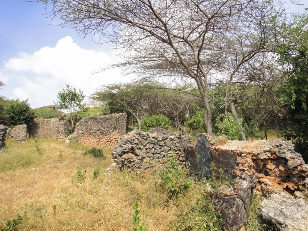 Visiter l'île de Lamu : notre guide complet 